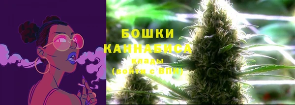 не бодяженный Белокуриха