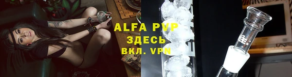 не бодяженный Белокуриха