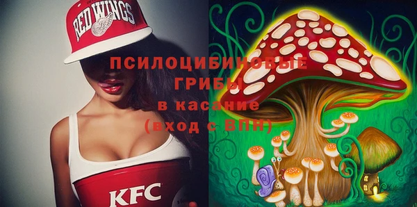 не бодяженный Белокуриха